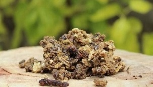 bee products for the treatment of prostatitis